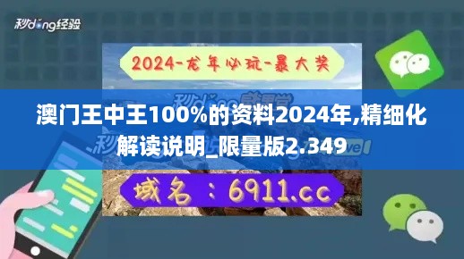 澳門王中王100%的資料2024年,精細(xì)化解讀說明_限量版2.349