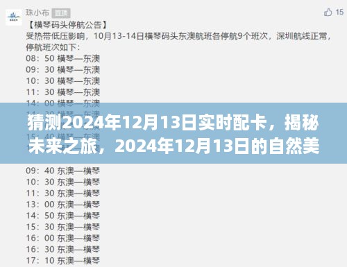 揭秘未來之旅，啟程尋找內心的寧靜與平和——2024年12月13日自然美景配卡猜想