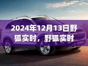 野狐實時，溫馨日常中的歡樂時光（2024年12月13日）