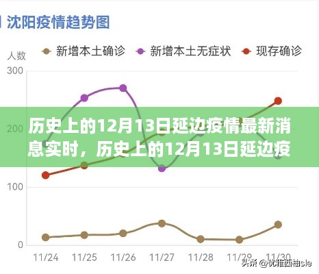 多維度視角下的深度分析，歷史上的延邊疫情最新消息實時報道與解讀（截至12月13日）