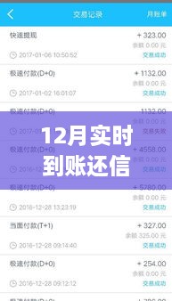 12月實(shí)時(shí)到賬，高效管理信用卡欠款，輕松還信用卡