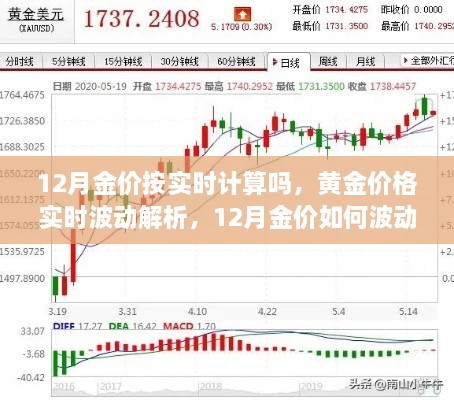 12月黃金價(jià)格實(shí)時(shí)解析，波動(dòng)原因及預(yù)測(cè)