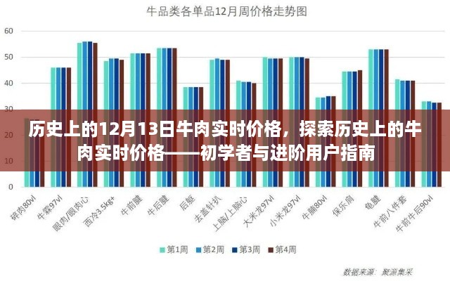 歷史上的牛肉實時價格探索，從入門到進(jìn)階的指南