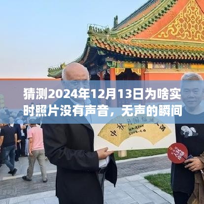 揭秘?zé)o聲瞬間背后的故事，為何2024年實時照片無聲開啟學(xué)習(xí)與成長之旅？