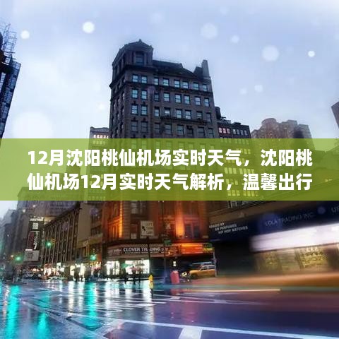 沈陽桃仙機(jī)場(chǎng)12月實(shí)時(shí)天氣解析與溫馨出行攻略