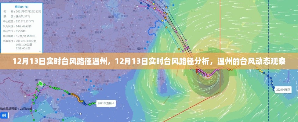 12月13日溫州臺風(fēng)路徑實時分析，最新動態(tài)與觀察報告