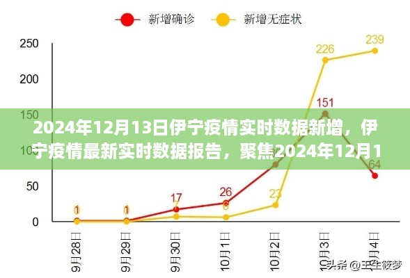 2024年12月13日伊寧疫情實時數(shù)據(jù)報告，聚焦最新新增情況