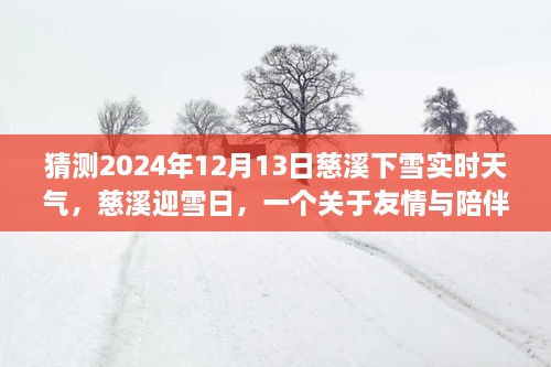 慈溪雪日溫情，友情與陪伴的溫馨故事，預(yù)測2024年12月13日實(shí)時天氣