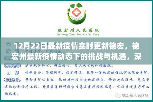 德宏州最新疫情動態(tài)下的挑戰(zhàn)與機遇深度解析，實時更新與觀點闡述