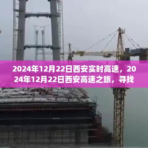 西安高速之旅，探尋自然懷抱，心靈寧靜之旅（2024年12月22日）