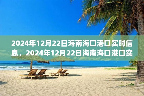 2024年12月22日海南?？诟劭趯崟r信息全解析，小紅書帶你掌握最新動態(tài)