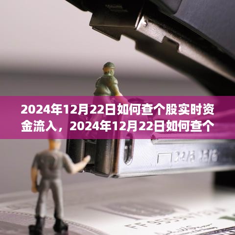 多維度解析與觀點探討，如何查詢個股實時資金流入——以2024年12月22日為例