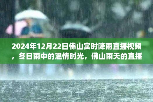 溫情時光與友情故事，佛山雨天直播實錄，實時降雨直播視頻