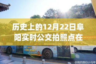 歷史上的12月22日阜陽公交之旅，探尋實(shí)時(shí)公交拍照點(diǎn)，尋找心靈的寧靜與自然的饋贈(zèng)