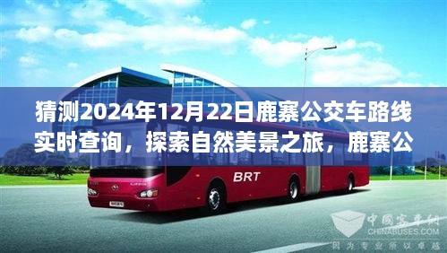 鹿寨公交路線新探秘，啟程2024年12月22日，探尋自然美景之旅實時查詢