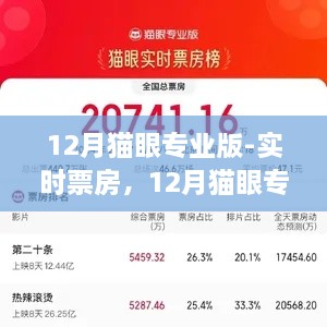 12月貓眼專業(yè)版實(shí)時(shí)票房解析，電影市場(chǎng)深度洞察