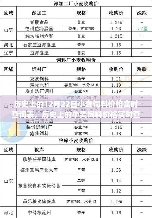 歷史上的小麥飼料價格實時查詢表，聚焦12月22日的觀察與變化