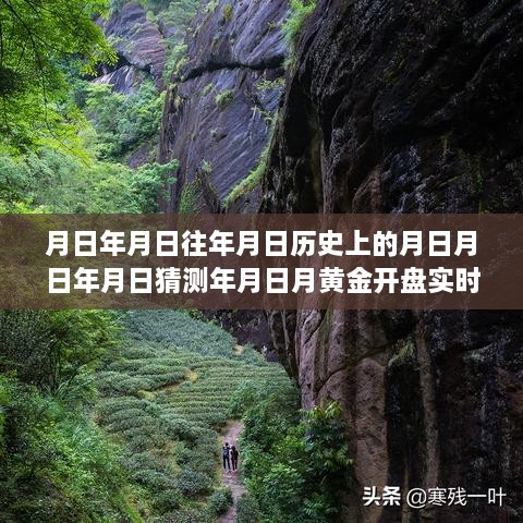 黃金行情揭秘，歷史、預(yù)測與實(shí)時動態(tài)的交織