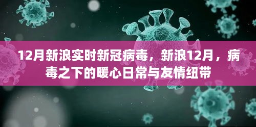 新浪12月，病毒下的暖心日常與友情紐帶，實時新冠病毒報道