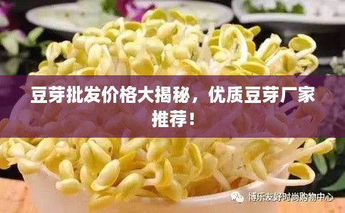 豆芽批發(fā)價(jià)格大揭秘，優(yōu)質(zhì)豆芽廠家推薦！