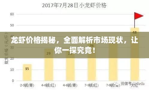龍蝦價格揭秘，全面解析市場現(xiàn)狀，讓你一探究竟！
