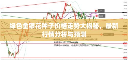 綠色金銀花種子價(jià)格走勢大揭秘，最新行情分析與預(yù)測