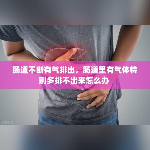 腸道不斷有氣排出，腸道里有氣體特別多排不出來怎么辦 