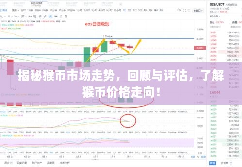 揭秘猴幣市場走勢，回顧與評(píng)估，了解猴幣價(jià)格走向！