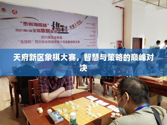 天府新區(qū)象棋大賽，智慧與策略的巔峰對(duì)決