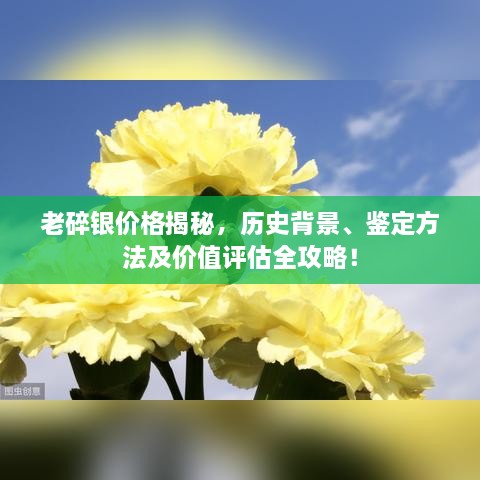 老碎銀價格揭秘，歷史背景、鑒定方法及價值評估全攻略！