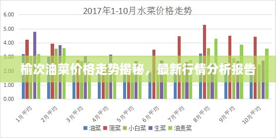 榆次油菜價格走勢揭秘，最新行情分析報告