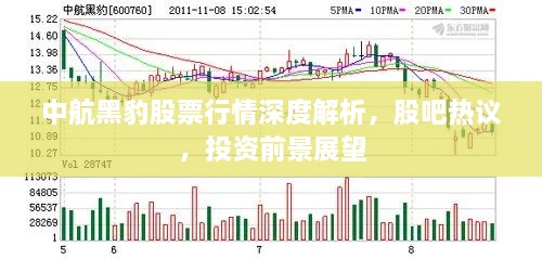 中航黑豹股票行情深度解析，股吧熱議，投資前景展望