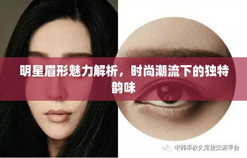 明星眉形魅力解析，時尚潮流下的獨特韻味