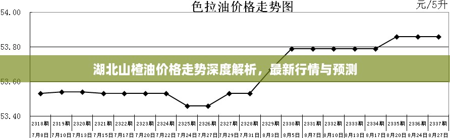 湖北山楂油價格走勢深度解析，最新行情與預(yù)測