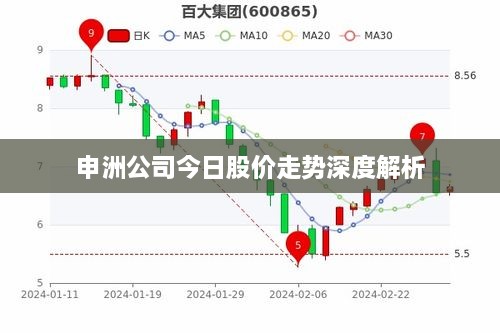 申洲公司今日股價(jià)走勢深度解析