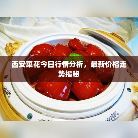 西安菜花今日行情分析，最新價(jià)格走勢揭秘