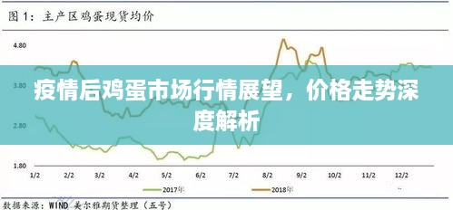 疫情后雞蛋市場行情展望，價(jià)格走勢深度解析