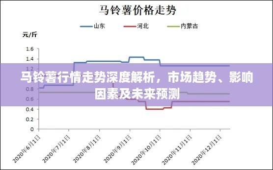 馬鈴薯行情走勢深度解析，市場趨勢、影響因素及未來預(yù)測