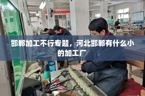 邯鄲加工不行專題，河北邯鄲有什么小的加工廠 