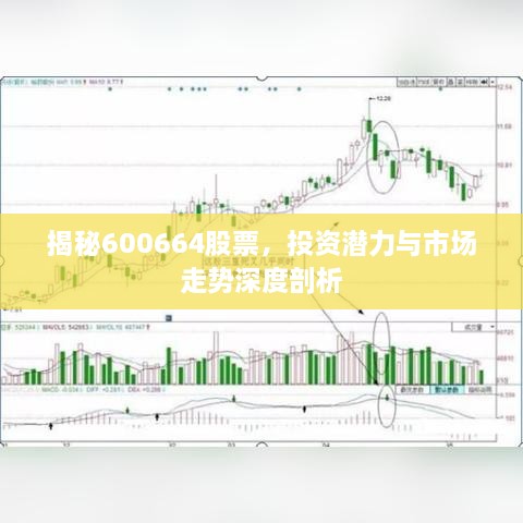 揭秘600664股票，投資潛力與市場(chǎng)走勢(shì)深度剖析