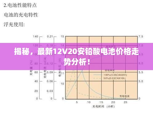 揭秘，最新12V20安鉛酸電池價格走勢分析！