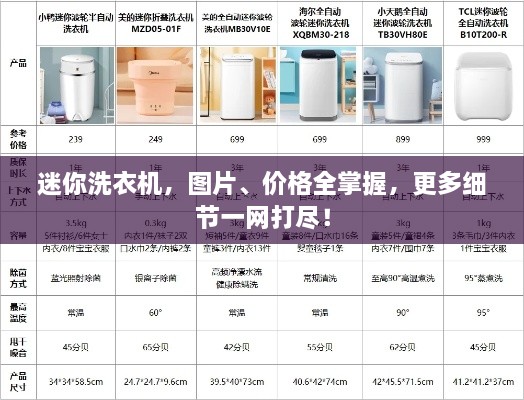 迷你洗衣機(jī)，圖片、價(jià)格全掌握，更多細(xì)節(jié)一網(wǎng)打盡！