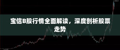 寶信B股行情全面解讀，深度剖析股票走勢