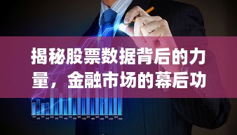 揭秘股票數(shù)據(jù)背后的力量，金融市場的幕后功臣