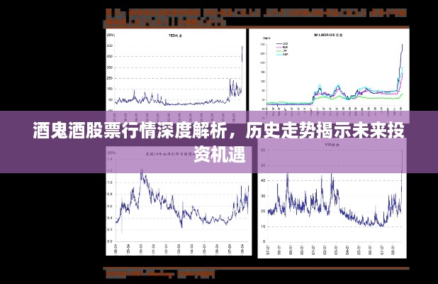 酒鬼酒股票行情深度解析，歷史走勢揭示未來投資機(jī)遇