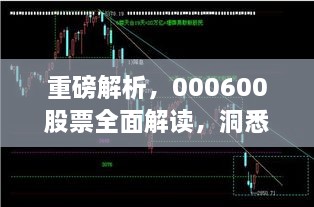 重磅解析，000600股票全面解讀，洞悉投資趨勢！