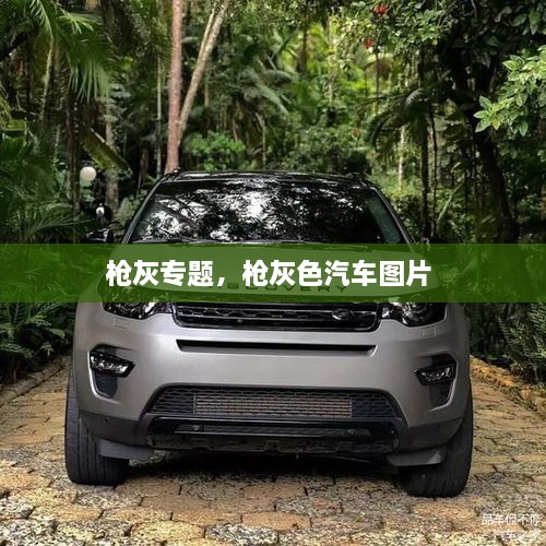 槍灰專題，槍灰色汽車圖片 