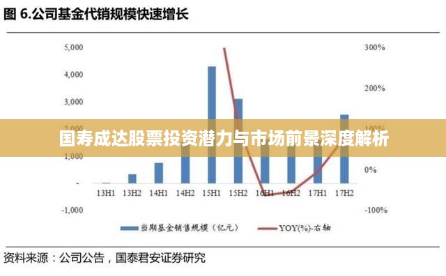 國(guó)壽成達(dá)股票投資潛力與市場(chǎng)前景深度解析