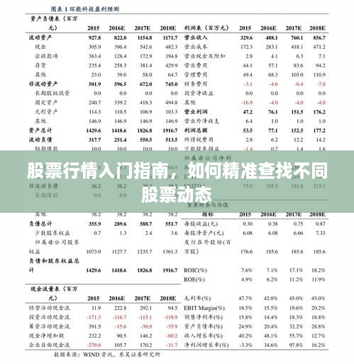 股票行情入門指南，如何精準查找不同股票動態(tài)