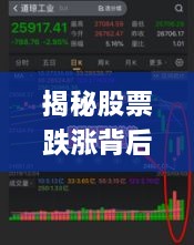 揭秘股票跌漲背后的風(fēng)險與策略，如何巧妙應(yīng)對股市波動？